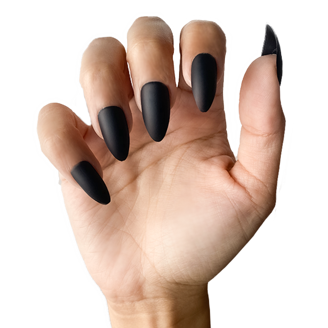 Black Dahlia